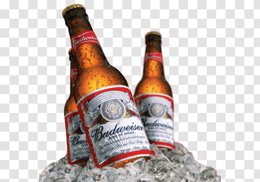 Budweiser Budvar Brewery Beer Anheuser-Busch InBev - Bottle Transparent PNG
