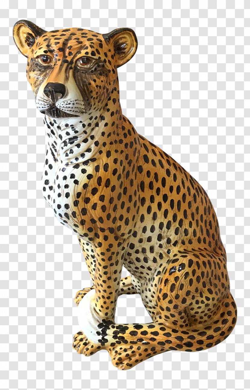 Cheetah Leopard Jaguar Whiskers Terracotta Transparent PNG