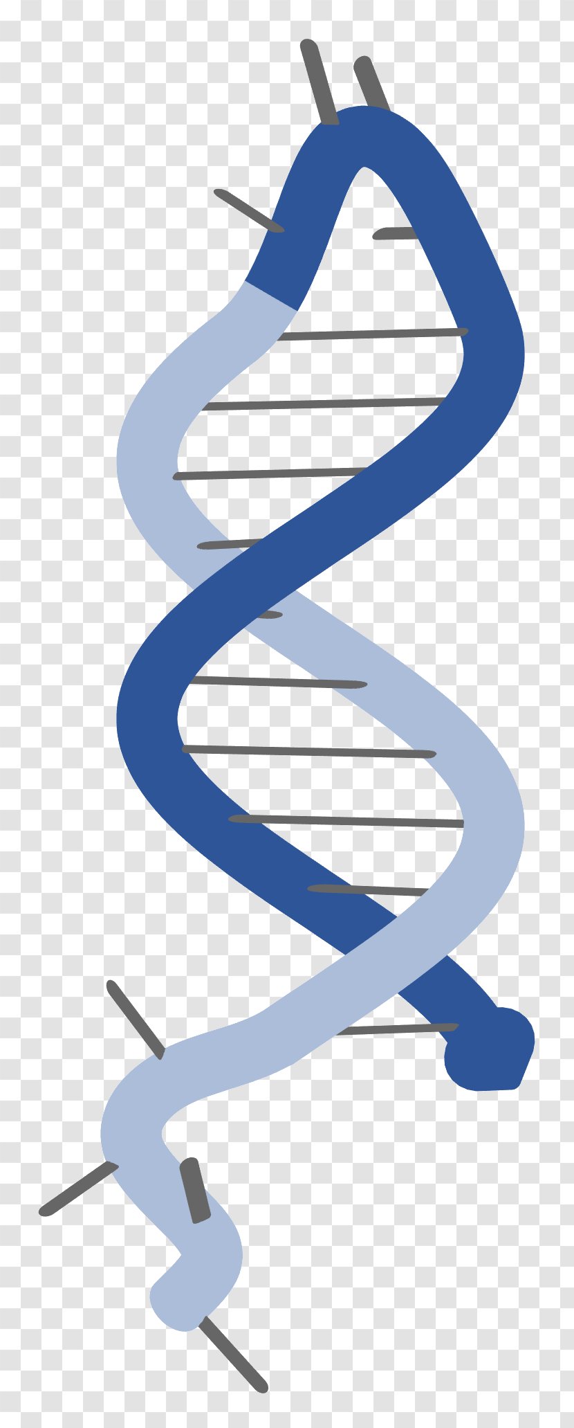 Molecular Biology Messenger RNA Research DNA - Stemloop - Science Transparent PNG