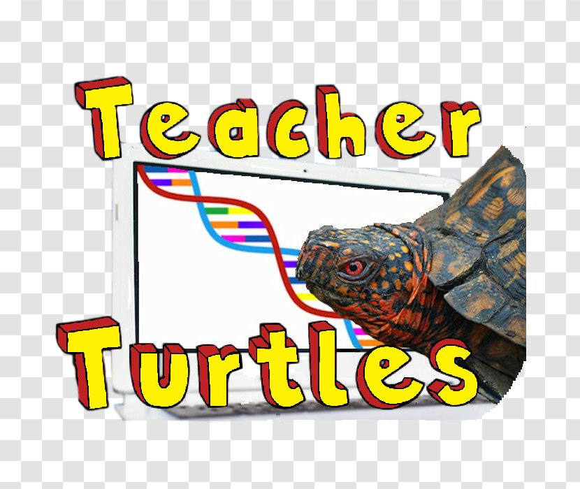 Logo Project Teacher Brand - Education - Turtles Material Transparent PNG