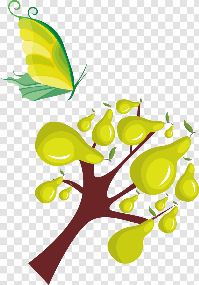 Asian Pear Tomato - Insect - Tree Transparent PNG