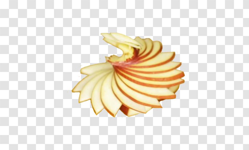 Apple - Slices Spin From Flowers Transparent PNG