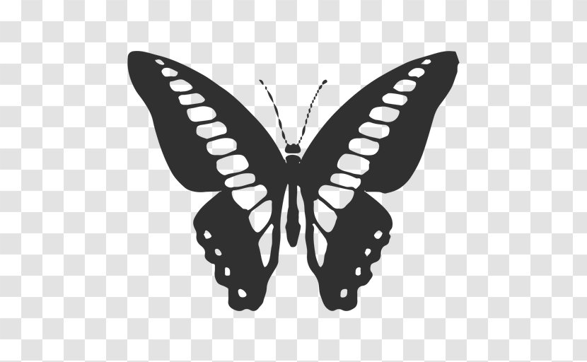 Free Free 188 Butterfly Svg Transparent SVG PNG EPS DXF File