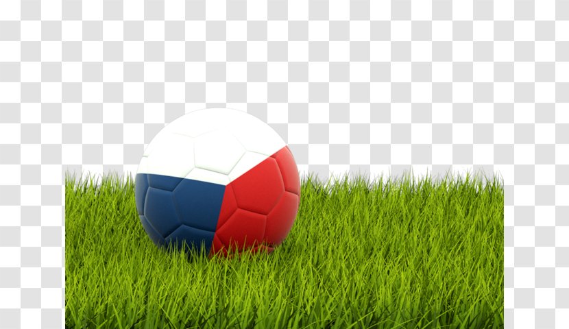 2014 FIFA World Cup AFC U-23 Championship Brazil National Football Team - Lawn - Flag Of The Czech Republic Transparent PNG