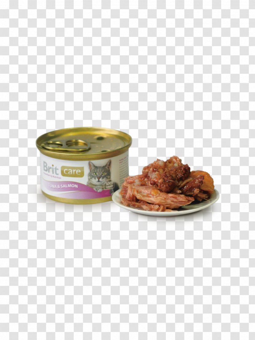 Cat Food Kitten Canning Canned Fish - Tableware Transparent PNG