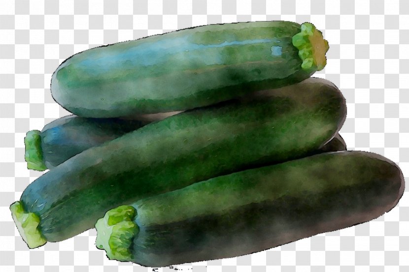 Cucumber Spreewald Gherkins Summer Squash - Vegetable Transparent PNG