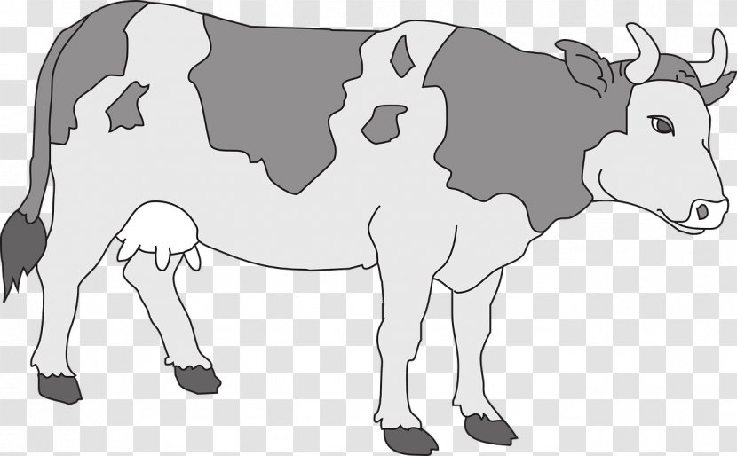 Hungarian Grey Texas Longhorn Clip Art - Wildlife - Cow Transparent PNG