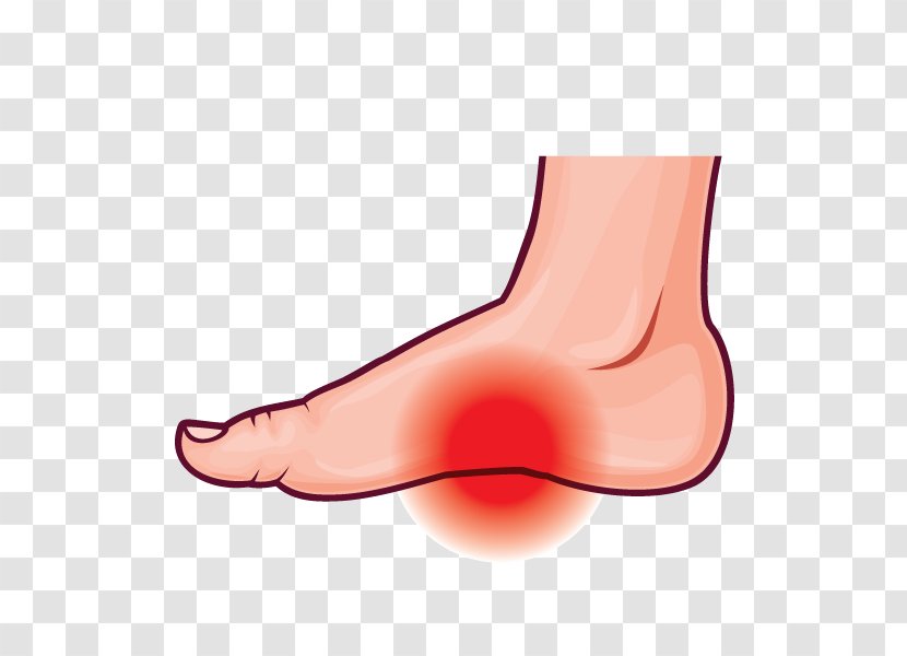 Thumb Arches Of The Foot Podalgia Plantar Fasciitis - Frame - Flower Transparent PNG
