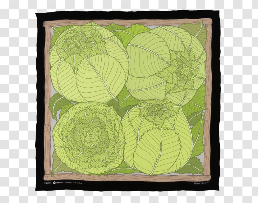 Leaf Green - Rectangle Transparent PNG