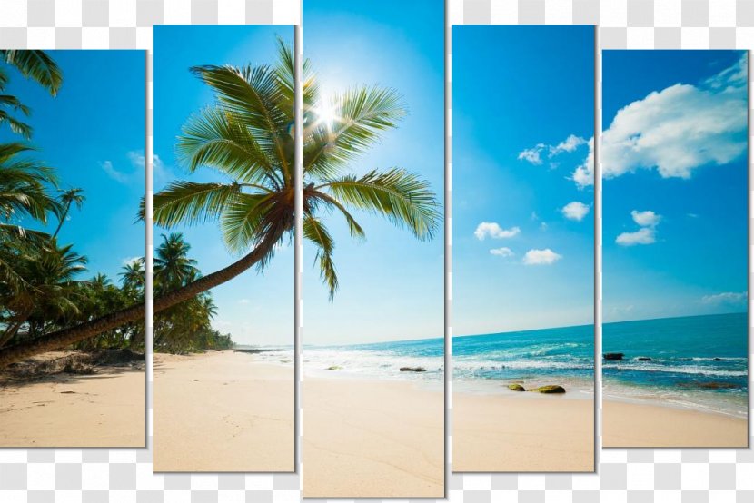Travel Summer Beach - Walkers Tours - Mural Rectangle Transparent PNG