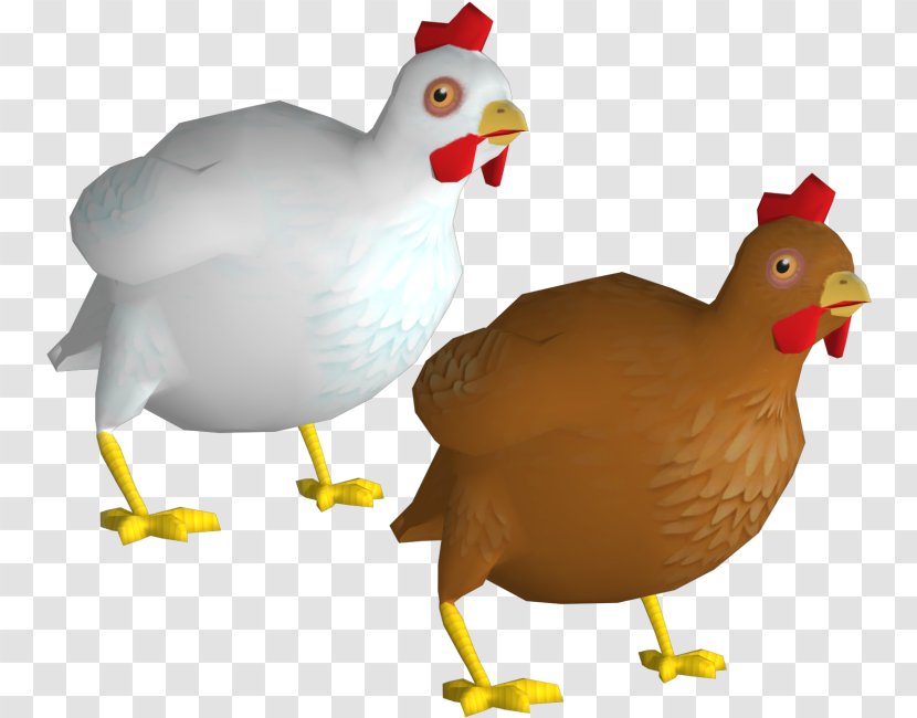 Rooster Goose Cygnini Duck Anatidae Transparent PNG