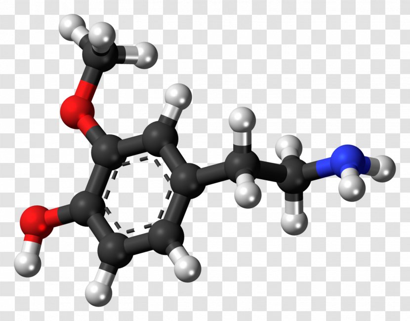 Dopamine Neurotransmitter Brain Ball-and-stick Model Reward System - Tree - Oil Molecules Transparent PNG