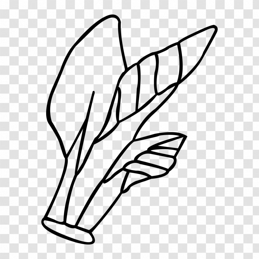 Leaf Finger White Clip Art - Plant Stem - Phaistos Disc Transparent PNG