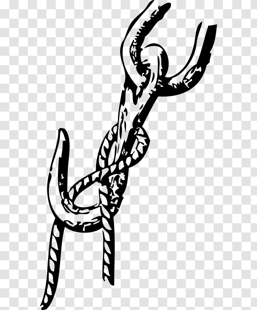 Seizing Knot Clip Art - Tree - Mary Untier Of Knots Transparent PNG