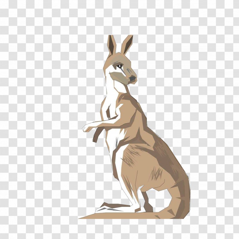 Australia Kangaroo Drawing Clip Art - Mammal - Standing Back To See Transparent PNG
