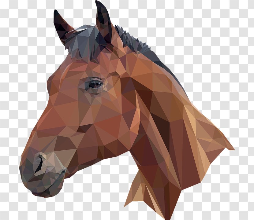 Horse Head Mask T-shirt - Mane - A Collar For Transparent PNG