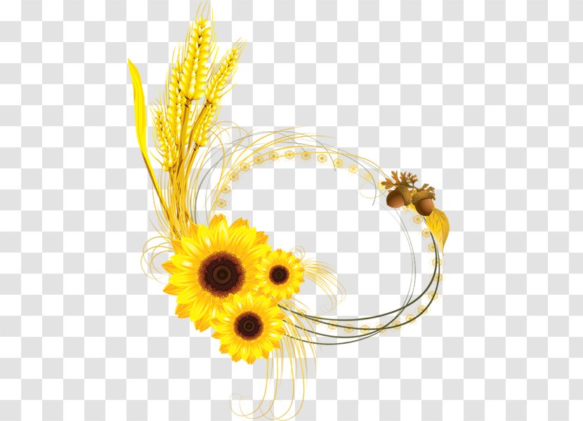 Common Sunflower Decorative Borders Wheat Clip Art - Photography Transparent PNG