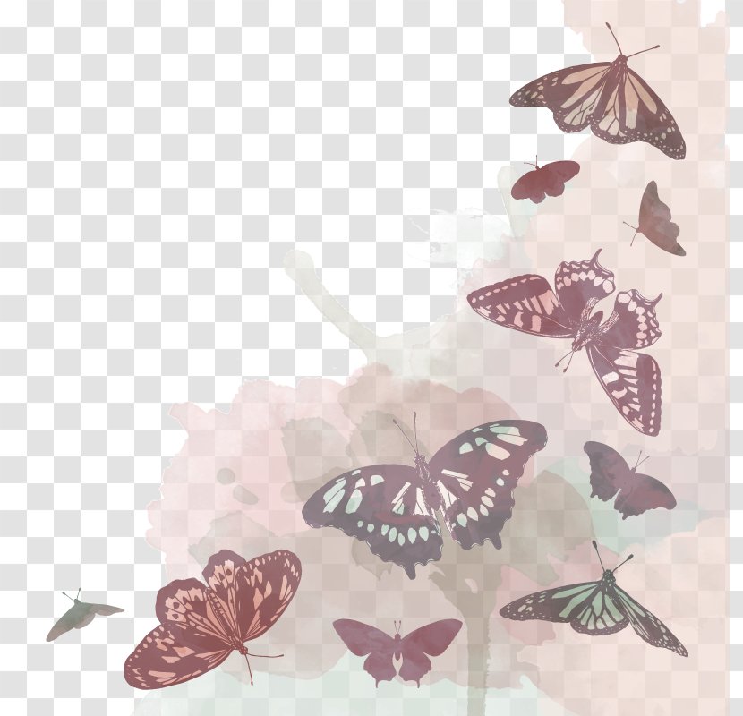 Butterfly Moth Euclidean Vector - Retro Style Transparent PNG