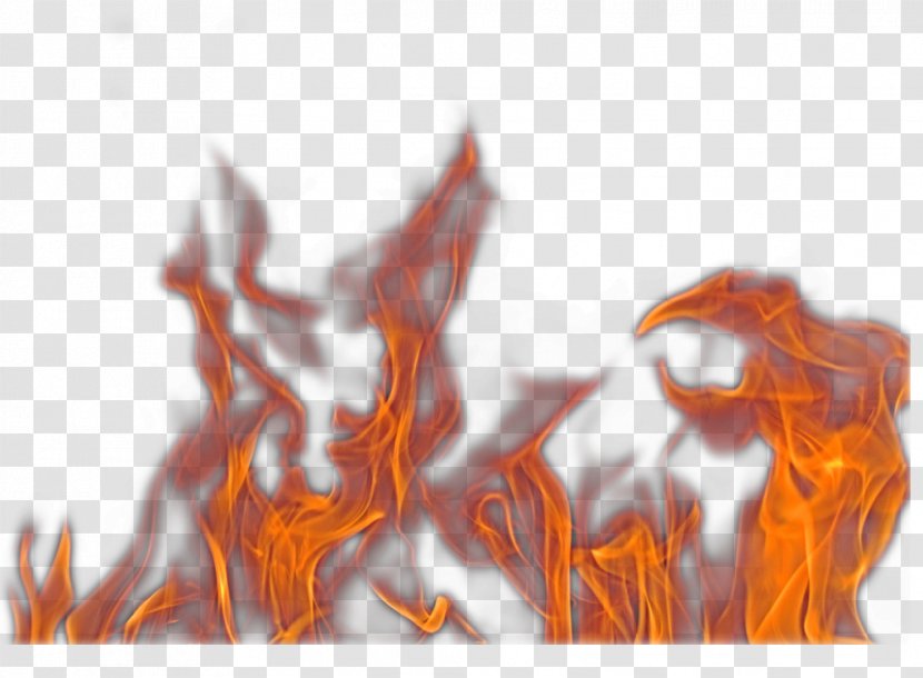 Flame Rendering Fire - Software Developer - Feuer Transparent PNG