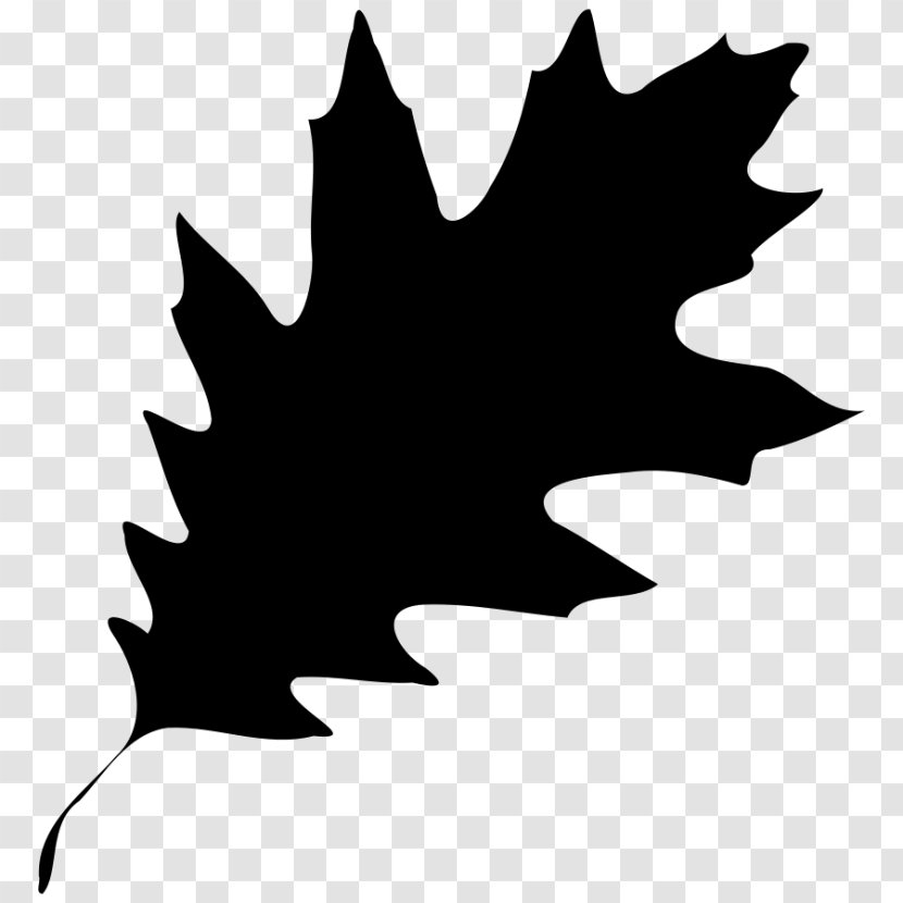 Clip Art Image Vector Graphics - Plane - Maple Leaf Transparent PNG