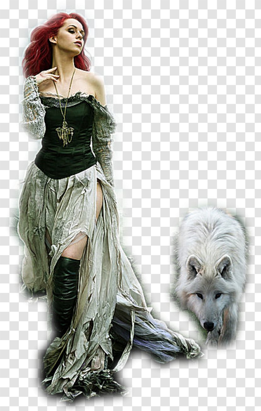 Gray Wolf Werewolf Fantasy Fantastic Art Costume - Animal Mall Transparent PNG