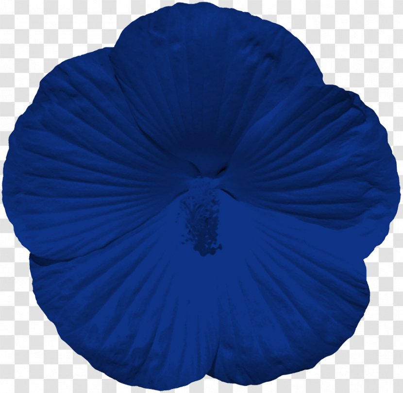 Rosemallows Violet Violaceae - Blue Transparent PNG