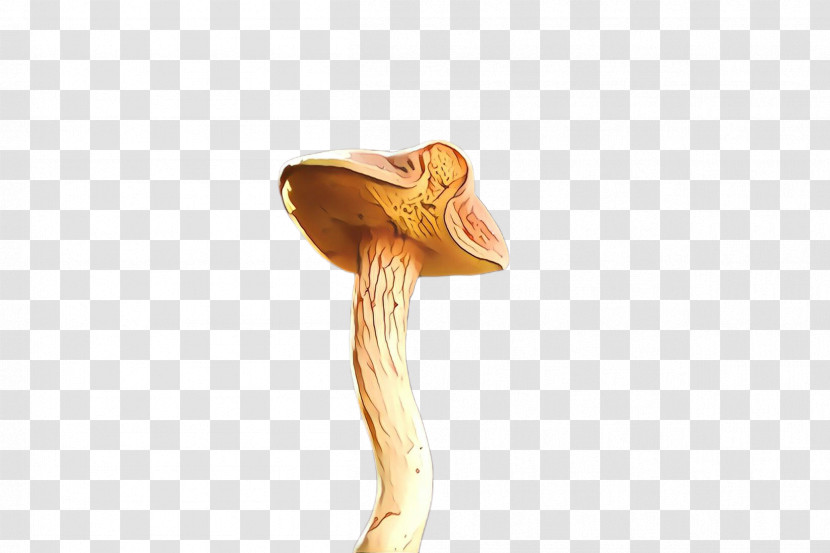 Joint Mushroom Transparent PNG