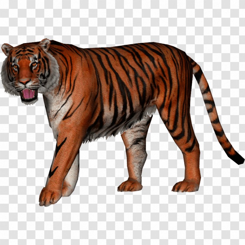Jaguar Felidae Bengal Tiger Javan Siberian - Carnivora Transparent PNG