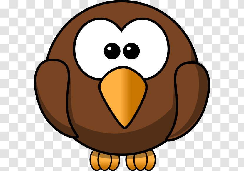 Tawny Owl Bird Clip Art - Drawing - Eagle Clipart Transparent PNG