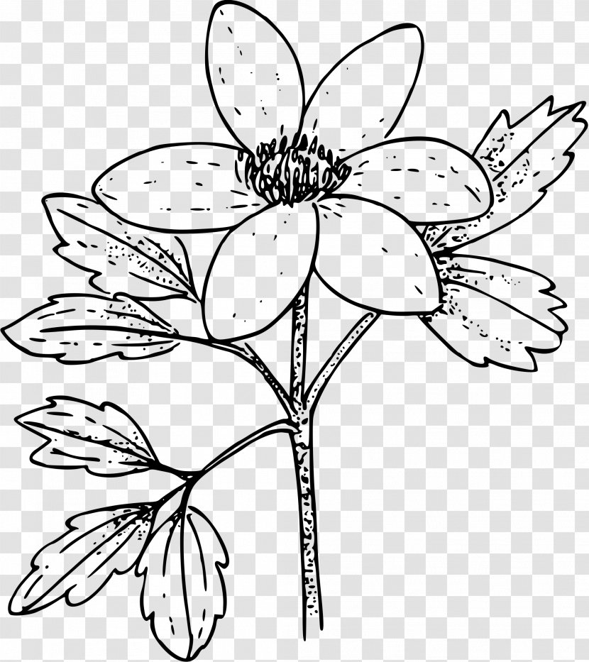 Coloring Book Anemone Nemorosa Flower Clip Art - Black And White Transparent PNG