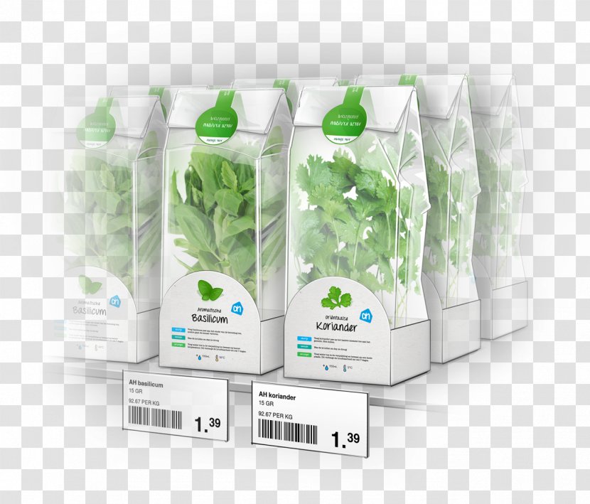 Brand Plant - Design Transparent PNG