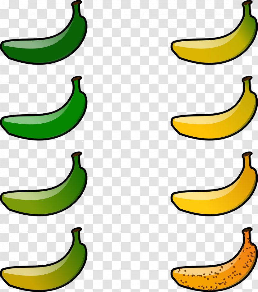 Cooking Banana Fruit Food Clip Art - Tomato Transparent PNG