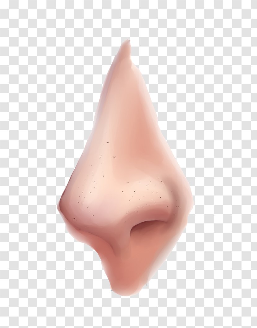 Nose - Clipart Transparent PNG
