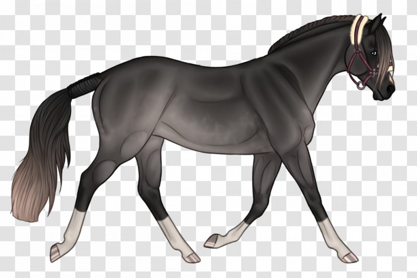 Mane Mustang Stallion Pony Mare - Horse Like Mammal - Requiem For A Dream Transparent PNG