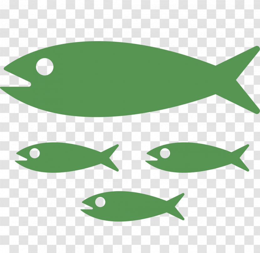 Fish Cartoon - Fishery - Fin Green Transparent PNG