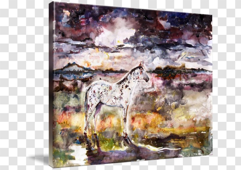 Appaloosa Spirit Watercolor Painting Mustang Gallery Wrap - Horse Transparent PNG