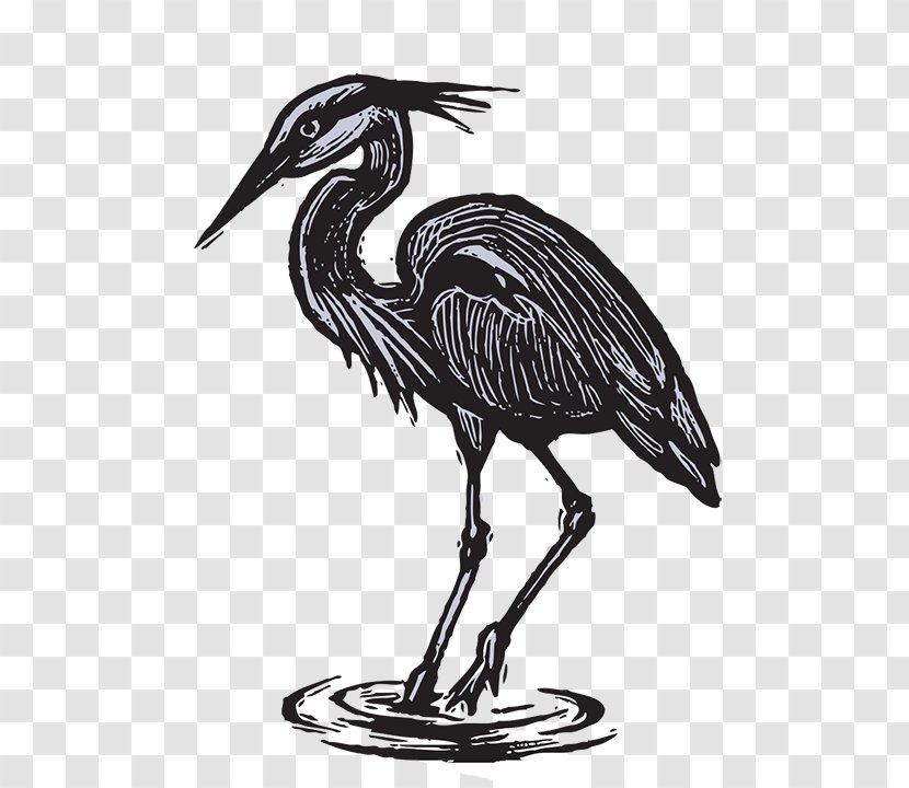 Crane Heron Bird - Fauna - Bill Russell Transparent PNG
