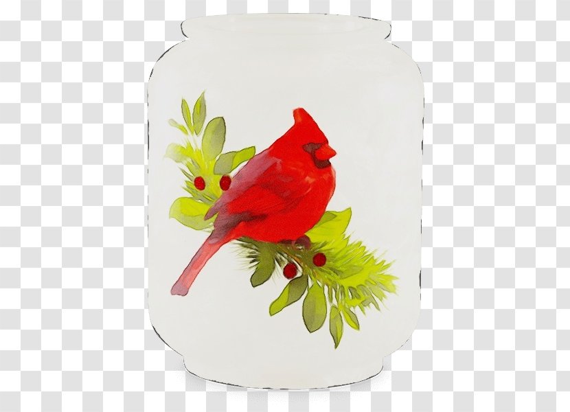 Cardinal Northern Bird Songbird Perching - Plant - Beak Branch Transparent PNG
