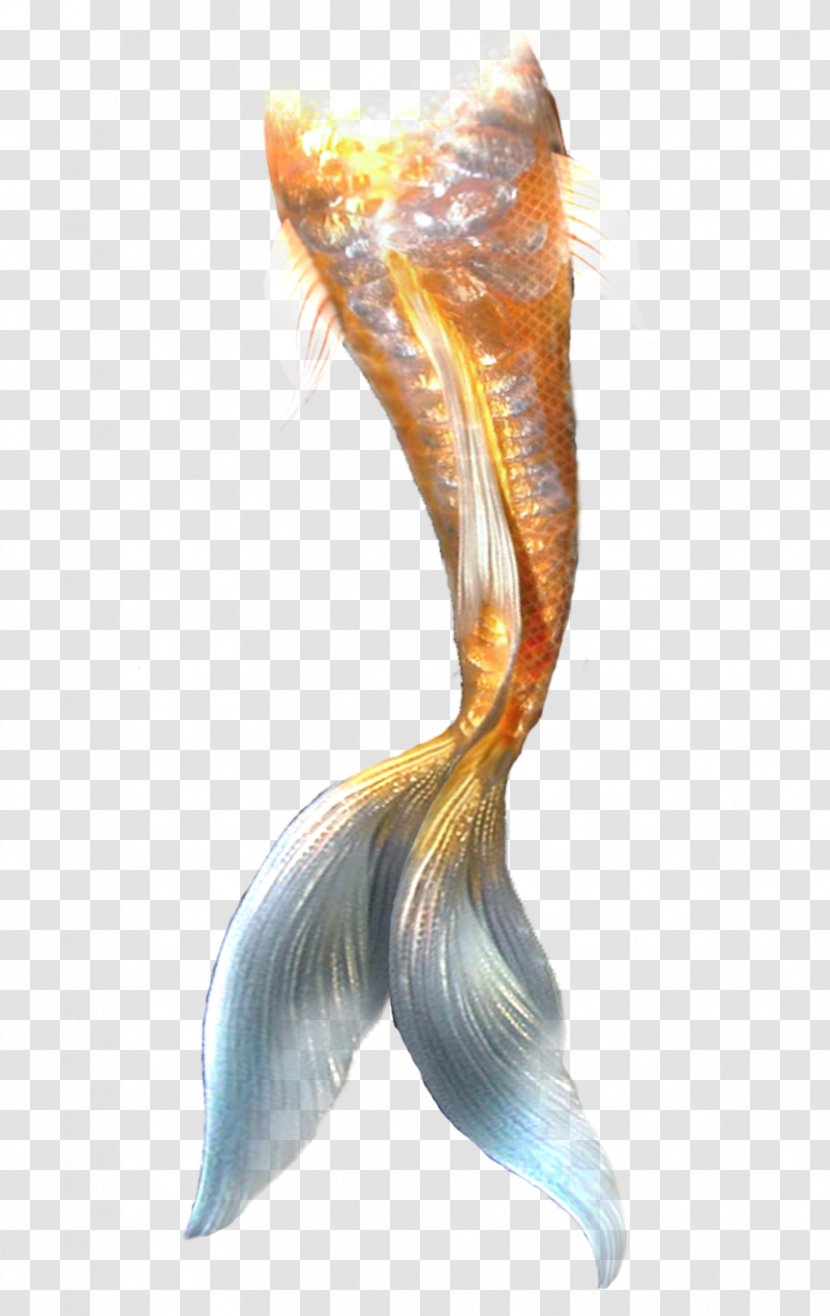 Ariel Mermaid Tail Rusalka - Merliah Summers Transparent PNG