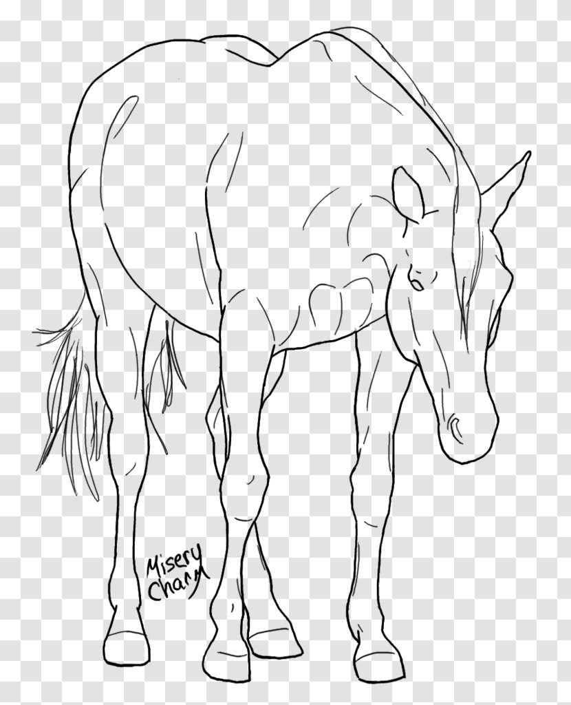 Mule Mustang /m/02csf Donkey Line Art - Head Transparent PNG