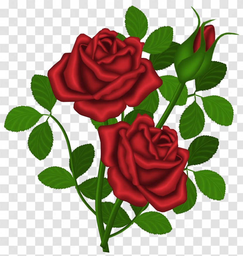 Rose Red Clip Art - Order - Roses Picture Clipart Transparent PNG