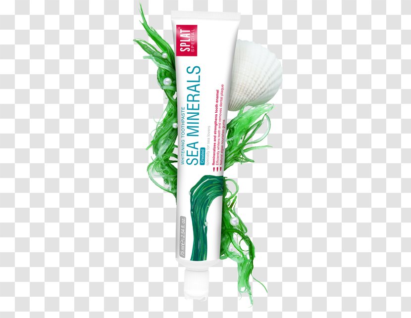 Toothpaste Tooth Enamel Splat-Cosmetica Mineral Sea - Plant - Minerals Transparent PNG