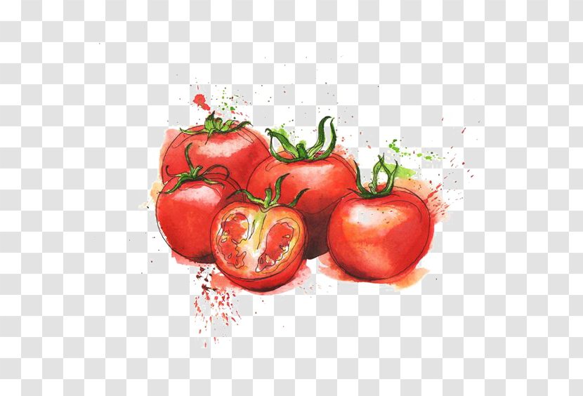 Tomato Juice Italian Cuisine Organic Food Purxe9e Tesco - Sugar - Watercolor Transparent PNG