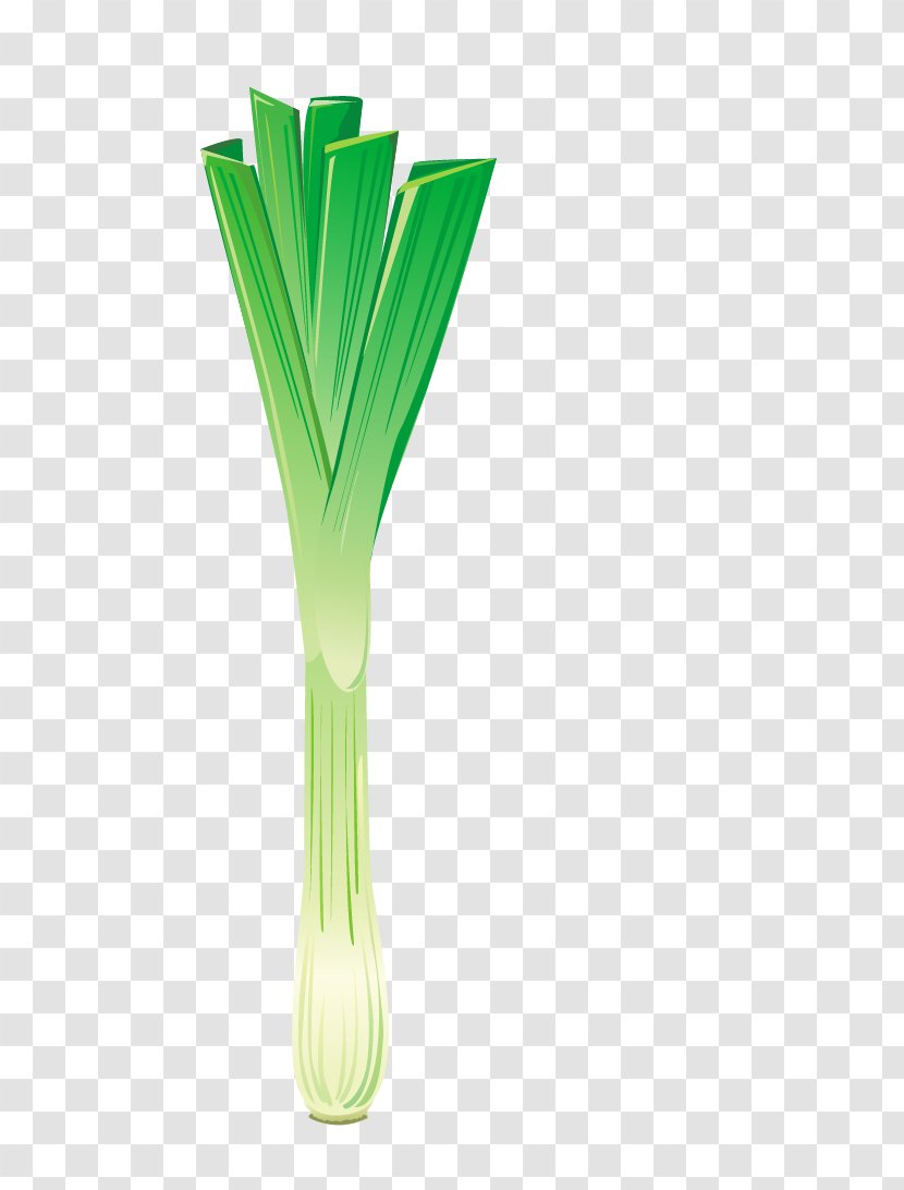 Shallot Scallion Download - Green Vegetables Transparent PNG