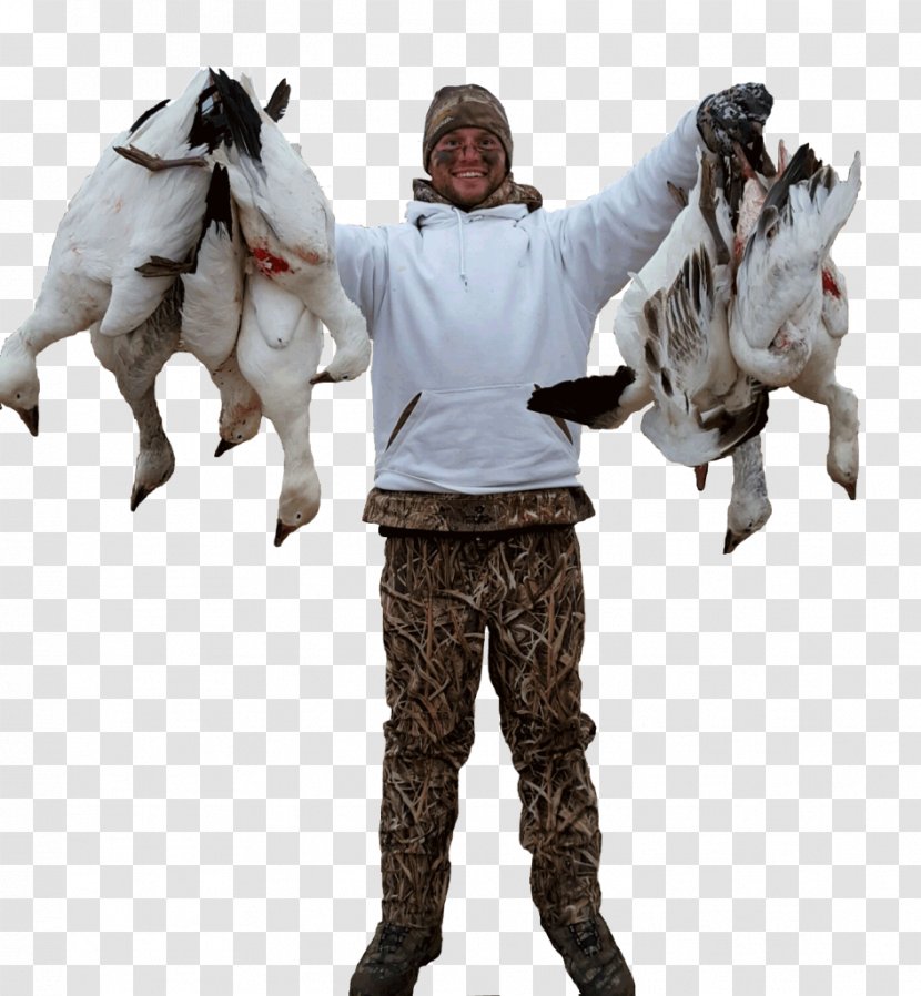 Snow Goose Duck Waterfowl Hunting - South Dakota Transparent PNG