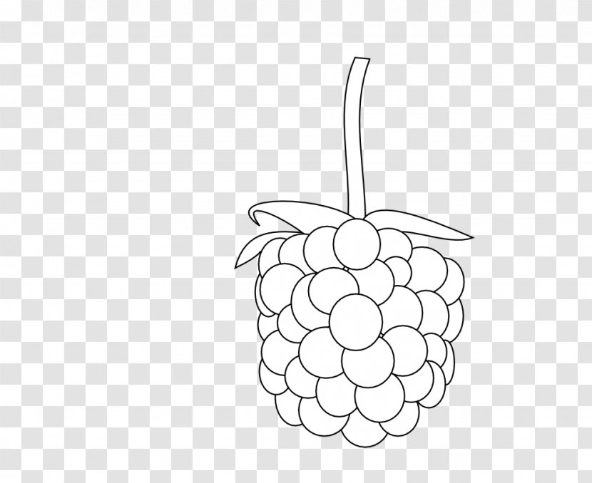 Black Raspberry Fruit Blackberry - Raspberries Transparent PNG