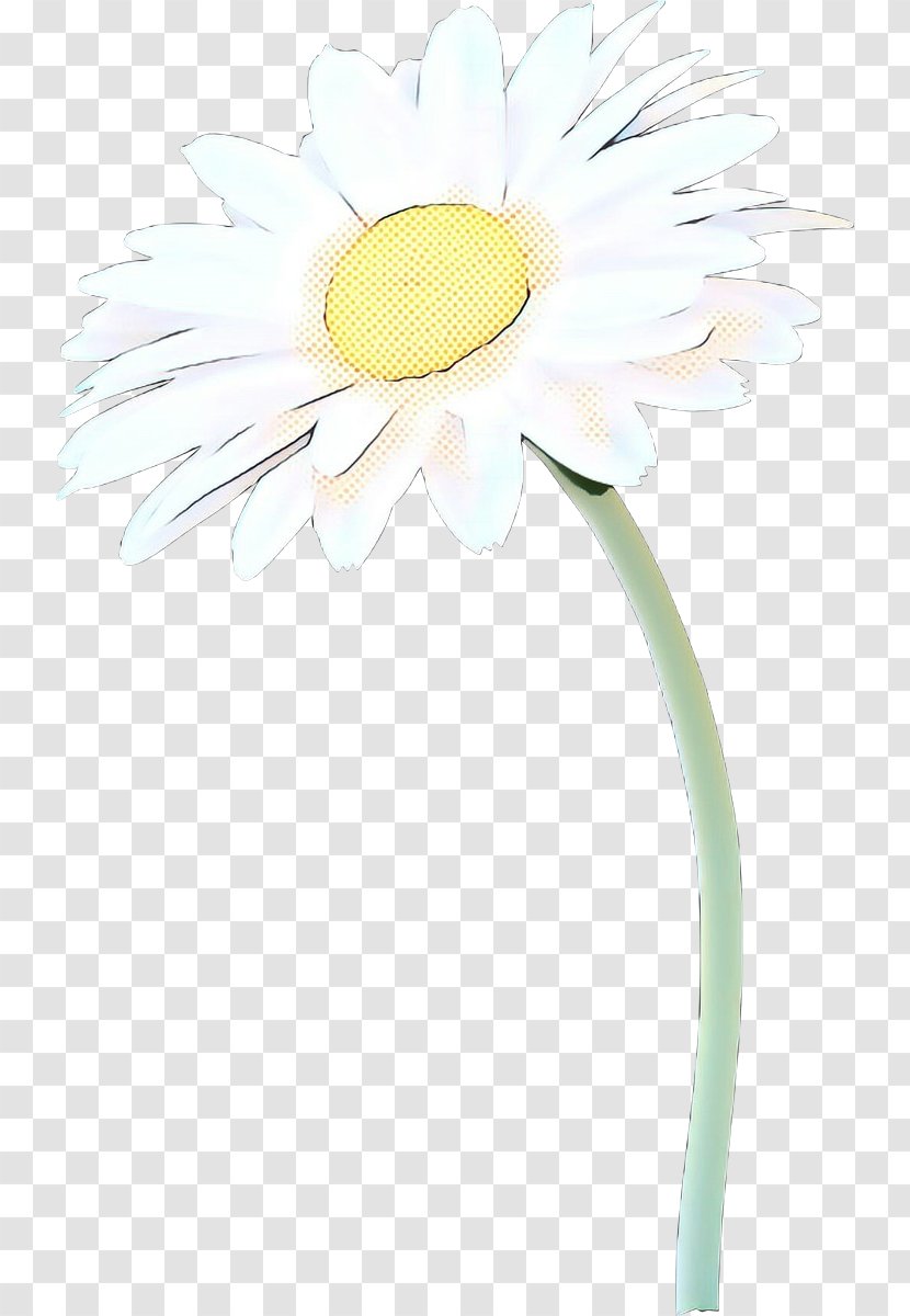 Daisy - Oxeye - Gerbera Flower Transparent PNG
