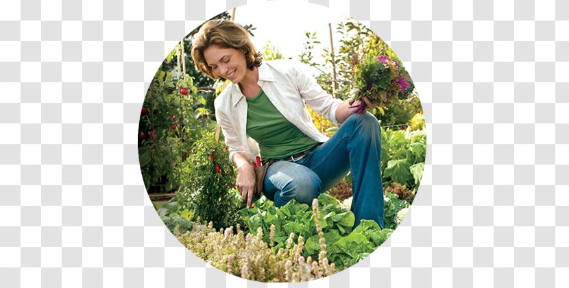 Gardening Flower Garden Lawn Landscaping - Organic Horticulture Transparent PNG