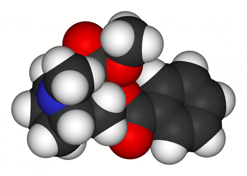 Cocaine Erythroxylum Coca Molecule Stimulant Drug - Cocain Transparent PNG