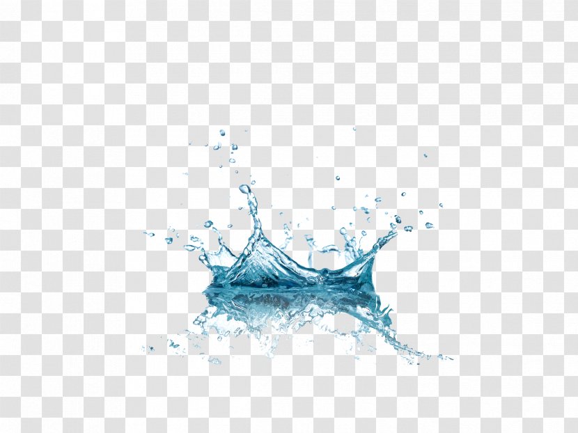 Water Drop Splash - Photo Manipulation - Image Of | ★ INSPIRATION IMAGES Pinterest Transparent PNG